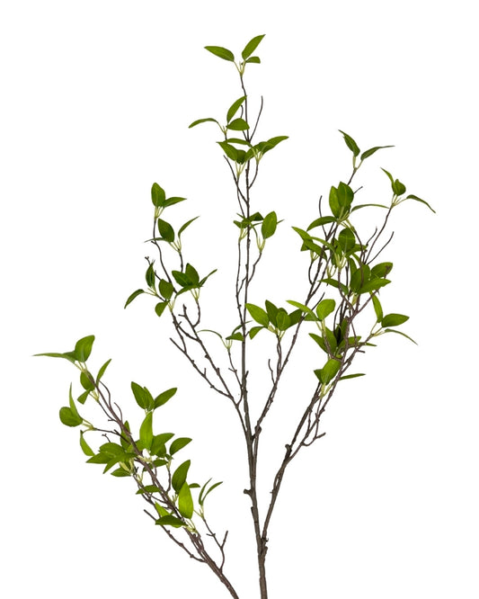 46" Wild Myrtle Branch
