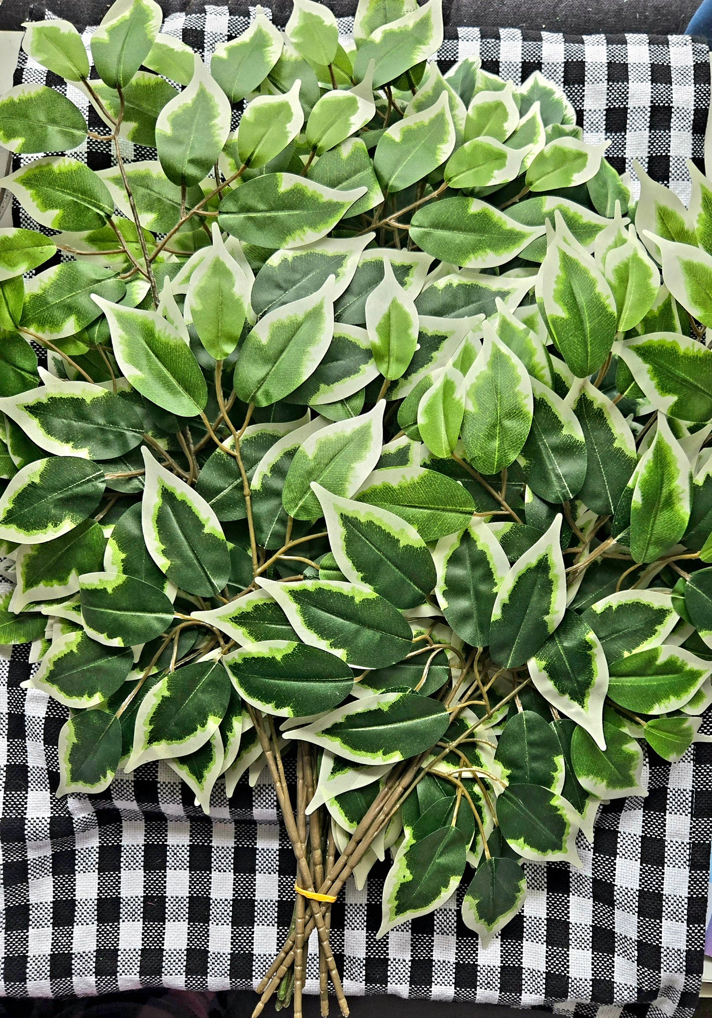 Silk Variegated Ficus Stem or Bundle
