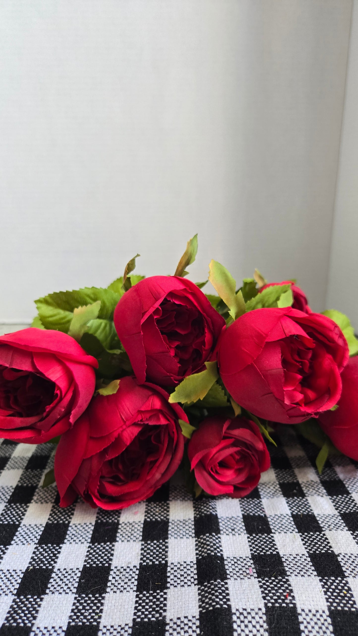 19" Cabbage Rose Bush - Multiple Colors