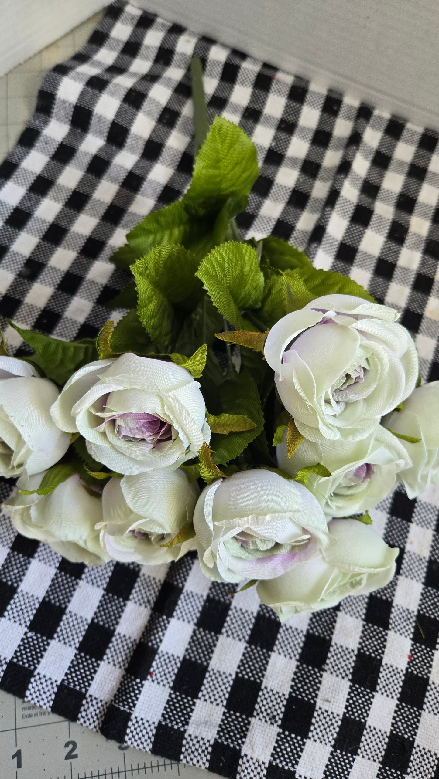 15" Mini Cabbage Rose Bush