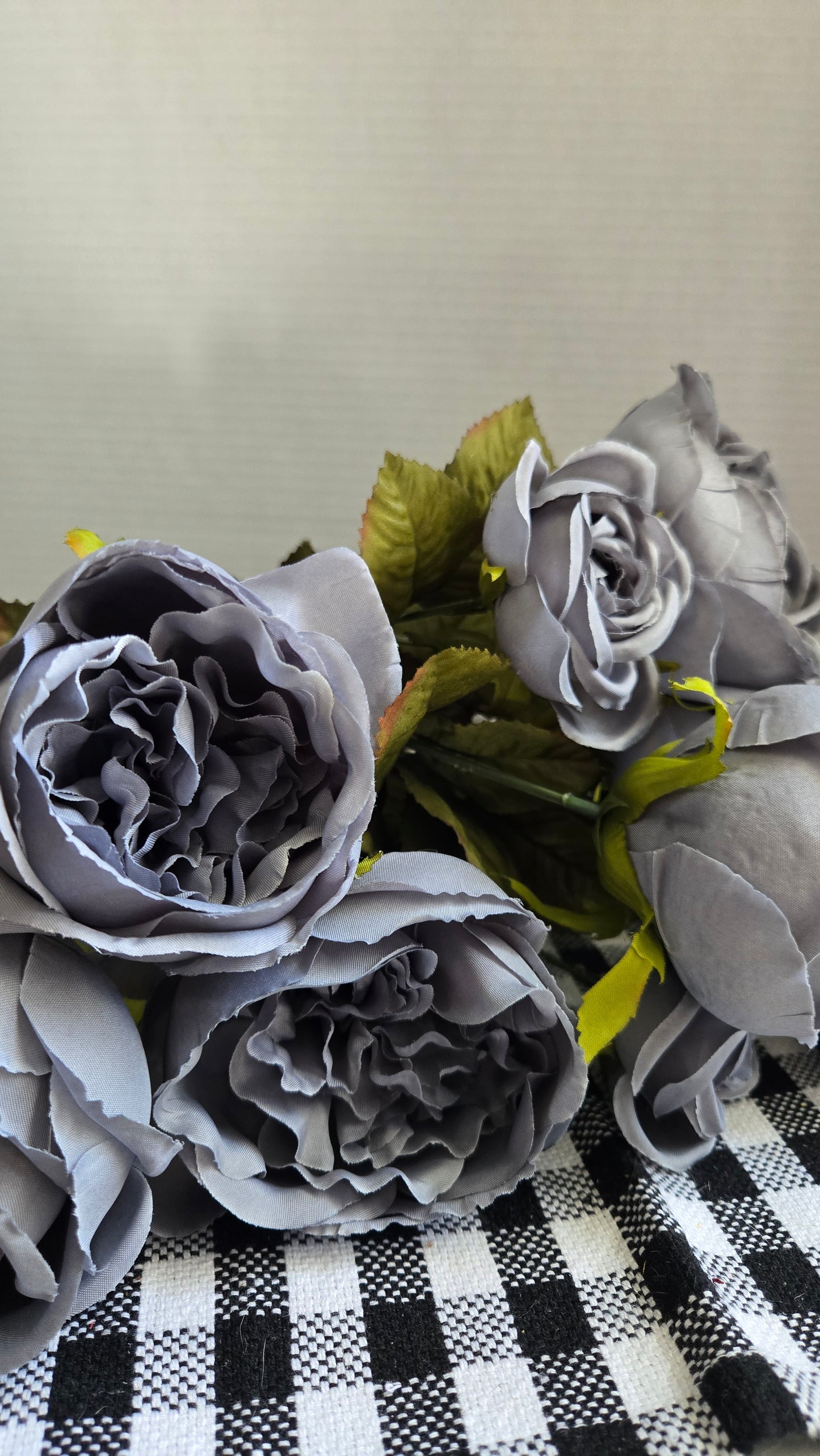 19" Cabbage Rose Bush - Multiple Colors