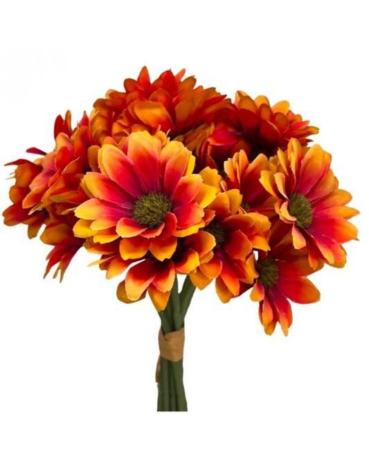 12" Delightful Daisy Bouquet X 9 stems 36 blooms
