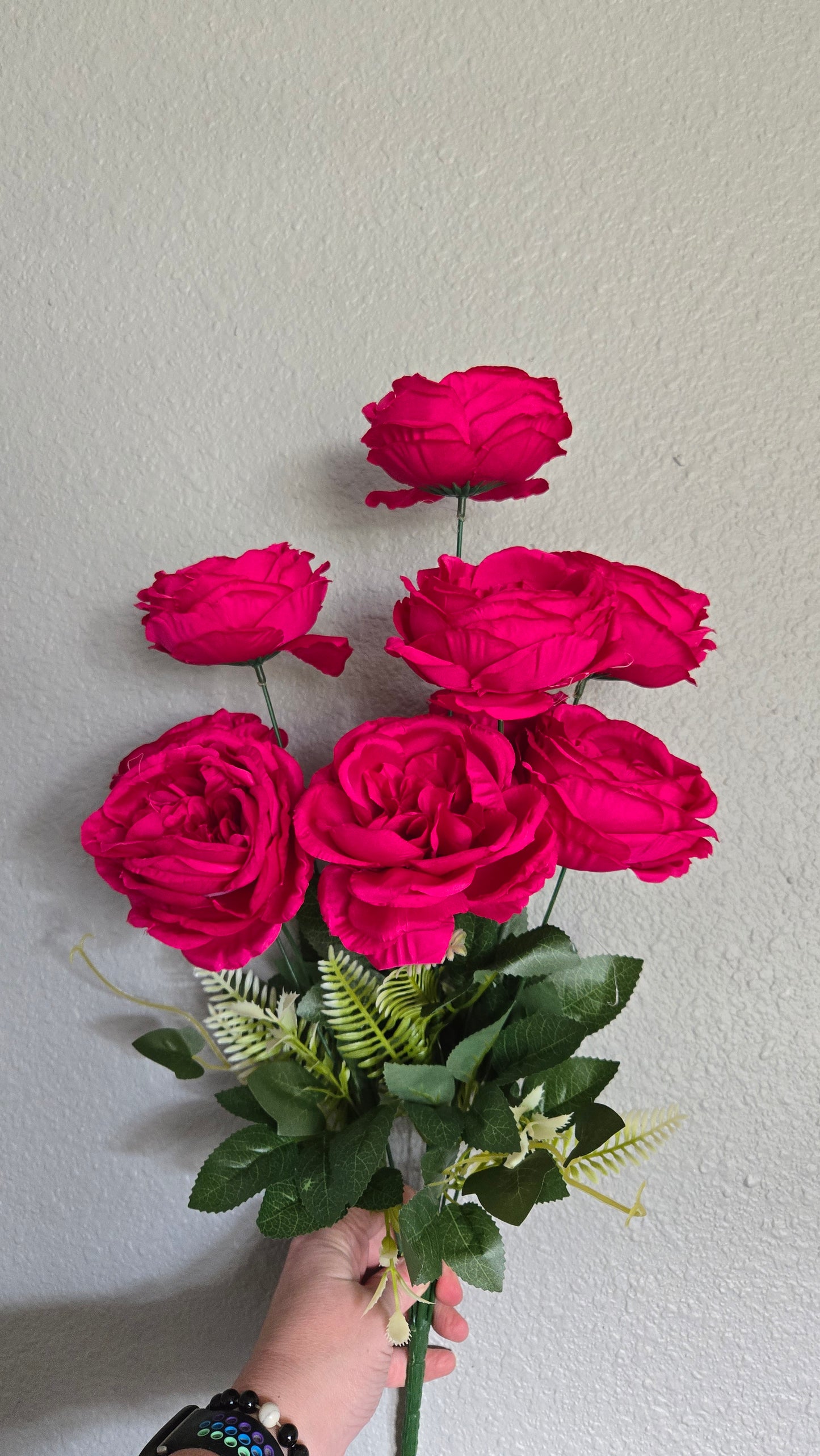 24" English Rose Bush - Multiple Colors