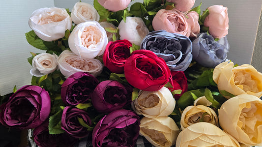 19" Cabbage Rose Bush - Multiple Colors