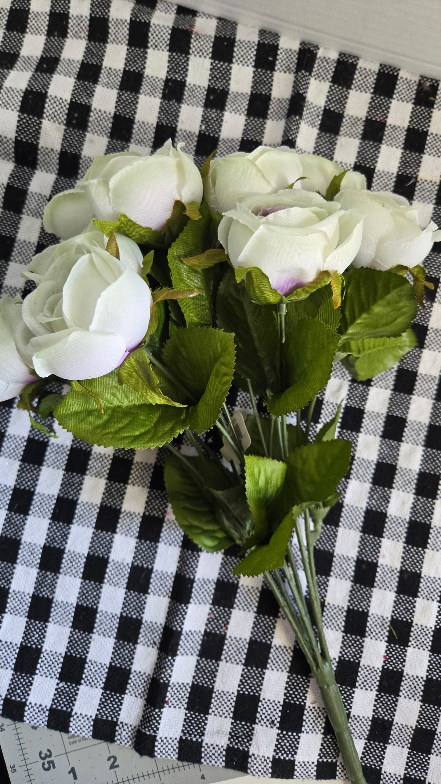 15" Mini Cabbage Rose Bush