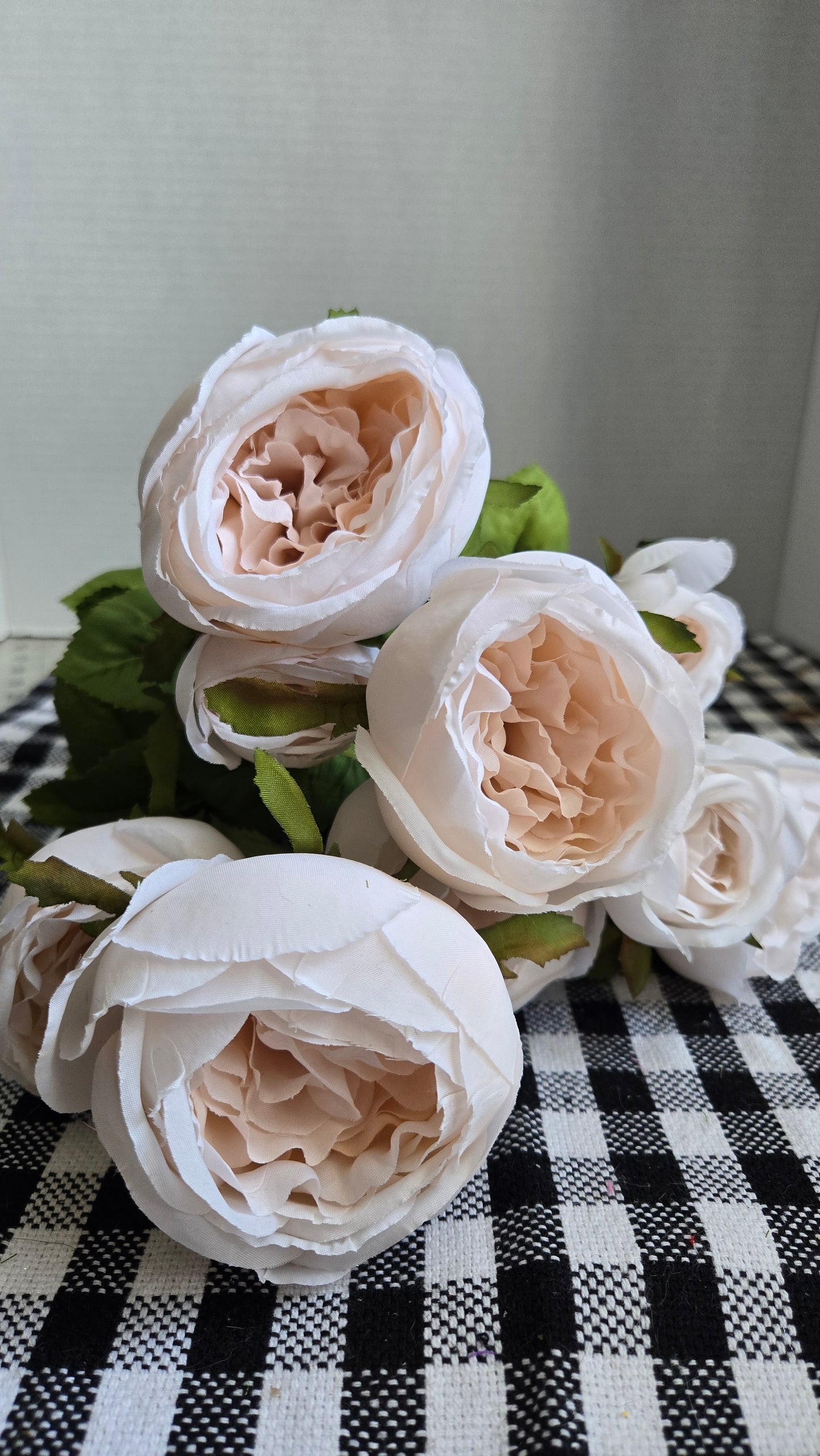19" Cabbage Rose Bush - Multiple Colors