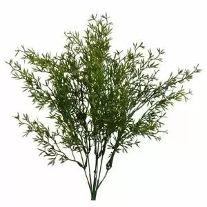 15.5" Sprengeri Bush - Artificial Greenery